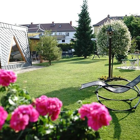 Pension Nr. 13 - B&B Pirna Kültér fotó