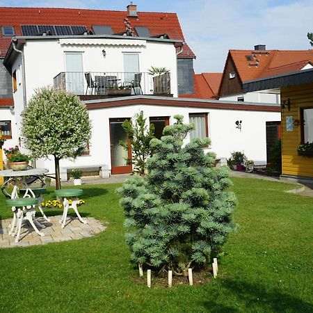 Pension Nr. 13 - B&B Pirna Kültér fotó
